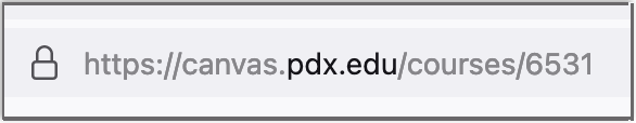 Canvas course URL.