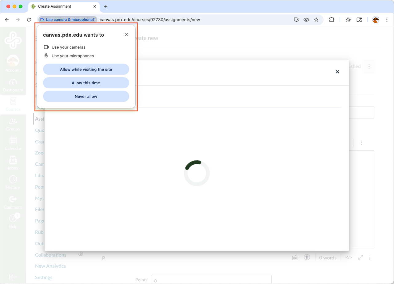 A browser permission prompt is shown, requesting access to use the camera and microphone. The prompt offers three options: Allow while visiting the site, Allow this time, and Never allow.&rdquo;