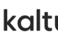 Kaltura mediaspace logo